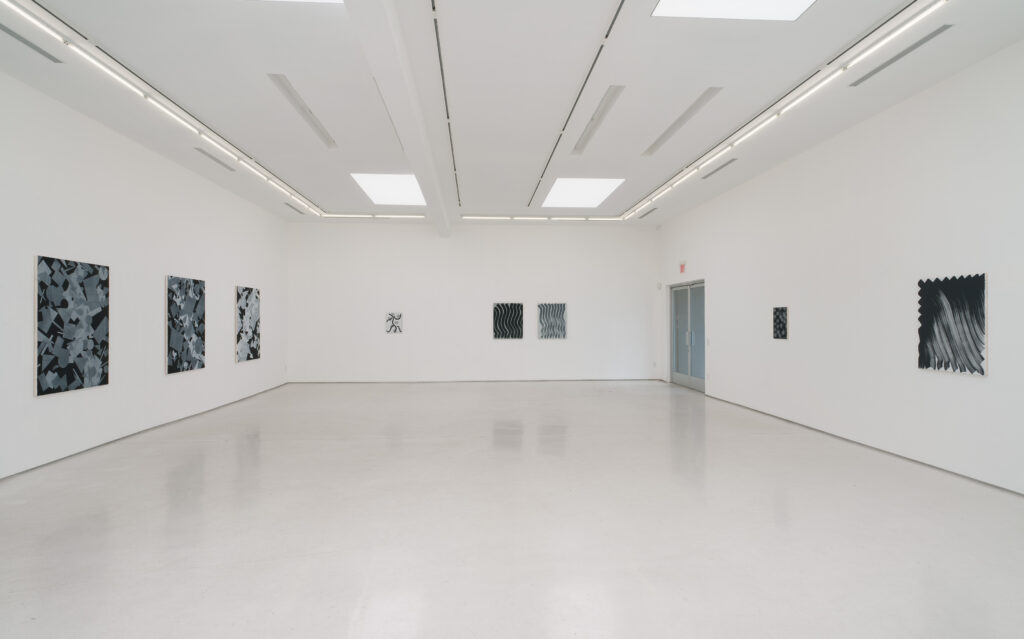 Dopp Installation View #2 - Various Positions